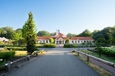 Ferienresort Bad Bentheim - Parkafbeelding - 2