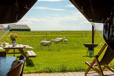 Boerderij Ameland - Parkafbeelding - 1