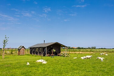 Boerderij Ameland - Parkafbeelding - 4