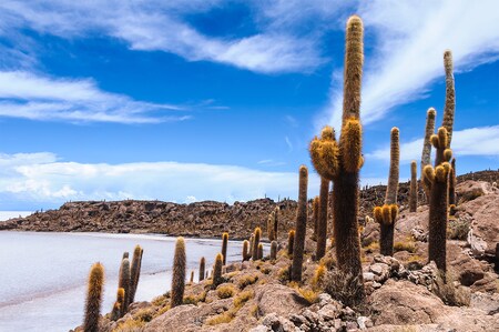 Uyuni Treatment